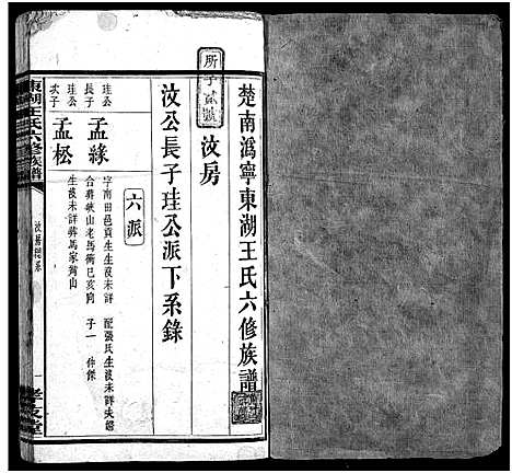 [下载][东湖王氏族谱_不分卷_楚南沩宁东湖王氏六修族谱_东湖王氏六修族谱]湖南.东湖王氏家谱_十三.pdf