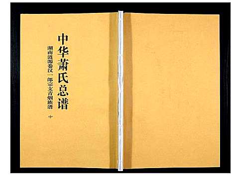 [下载][中华萧氏总谱汉一郎青烟族谱_3卷]湖南.中华萧氏总谱_二.pdf