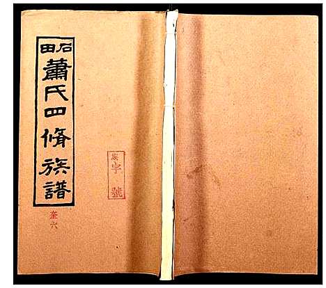 [下载][石田萧氏四修族谱]湖南.石田萧氏四修家谱_十七.pdf