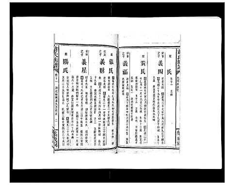 [下载][萧氏族谱_18卷首5卷]湖南.萧氏家谱_十七.pdf