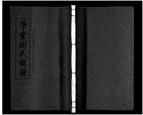 [下载][学堂谢氏族谱_86卷含首12卷_续录1卷_纪念册1卷_摊谱5卷含卷首_学堂谢氏五修族谱_学堂谢氏族谱]湖南.学堂谢氏家谱_十七.pdf