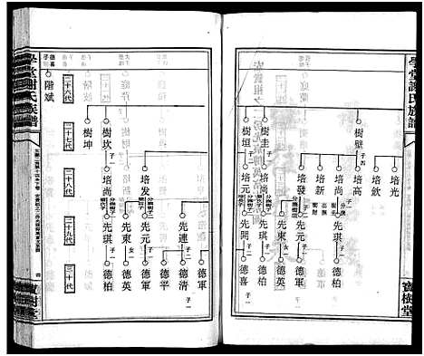 [下载][学堂谢氏族谱_86卷含首12卷_续录1卷_纪念册1卷_摊谱5卷含卷首_学堂谢氏五修族谱_学堂谢氏族谱]湖南.学堂谢氏家谱_三十.pdf