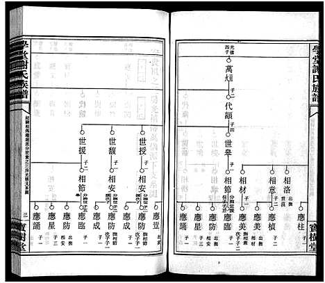 [下载][学堂谢氏族谱_86卷含首12卷_续录1卷_纪念册1卷_摊谱5卷含卷首_学堂谢氏五修族谱_学堂谢氏族谱]湖南.学堂谢氏家谱_三十一.pdf