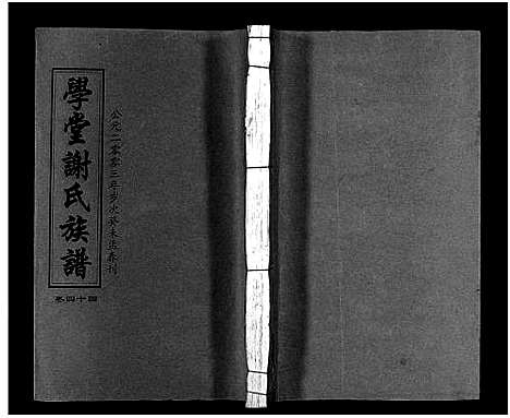 [下载][学堂谢氏族谱_86卷含首12卷_续录1卷_纪念册1卷_摊谱5卷含卷首_学堂谢氏五修族谱_学堂谢氏族谱]湖南.学堂谢氏家谱_四十九.pdf