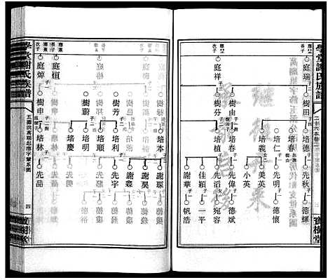 [下载][学堂谢氏族谱_86卷含首12卷_续录1卷_纪念册1卷_摊谱5卷含卷首_学堂谢氏五修族谱_学堂谢氏族谱]湖南.学堂谢氏家谱_五十四.pdf