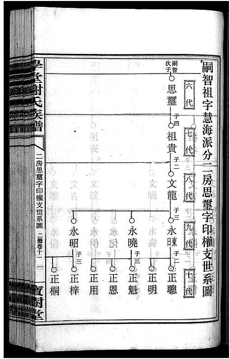 [下载][学堂谢氏族谱_86卷含首12卷_续录1卷_纪念册1卷_摊谱5卷含卷首_学堂谢氏五修族谱_学堂谢氏族谱]湖南.学堂谢氏家谱_九十一.pdf