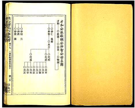 [下载][洪山谢氏六修族谱_21卷首1卷_洪山谢氏六修族谱]湖南.洪山谢氏六修家谱_十九.pdf