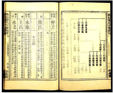 [下载][洪山谢氏六修族谱_21卷首1卷_洪山谢氏六修族谱]湖南.洪山谢氏六修家谱_二十.pdf