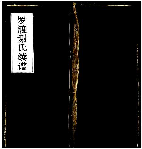 [下载][罗渡谢氏续谱_残卷]湖南.罗渡谢氏续谱_四.pdf