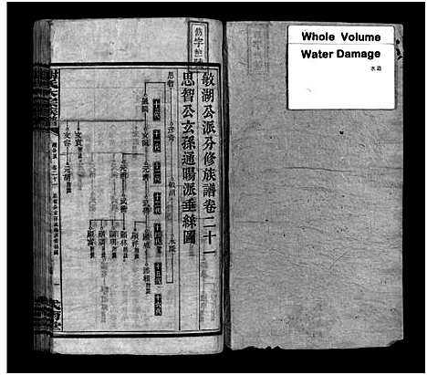 [下载][谢氏大宗族谱_按房分卷_12函_及首函上下_谢氏大宗族谱_敏湖公派分修族谱]湖南.谢氏大家家谱_十二.pdf