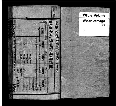 [下载][谢氏大宗族谱_按房分卷_12函_及首函上下_谢氏大宗族谱_敏湖公派分修族谱]湖南.谢氏大家家谱_十四.pdf