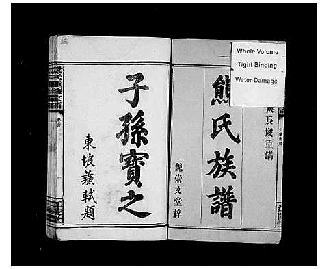 [下载][熊氏族谱_19卷_及卷首_熊氏重修宗谱]湖南.熊氏家谱.pdf