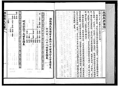 [下载][湖西颜氏家谱]湖南.湖西颜氏家谱_八.pdf