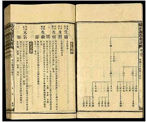 [下载][新化杨氏族谱_世系5卷首10卷_新化杨氏续修族谱_杨氏续修族谱_新化杨氏族谱]湖南.新化杨氏家谱_十八.pdf