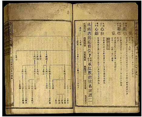 [下载][新化杨氏族谱_世系5卷首10卷_新化杨氏续修族谱_杨氏续修族谱_新化杨氏族谱]湖南.新化杨氏家谱_三十.pdf