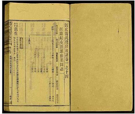 [下载][新化杨氏族谱_世系5卷首10卷_新化杨氏续修族谱_杨氏续修族谱_新化杨氏族谱]湖南.新化杨氏家谱_四十三.pdf