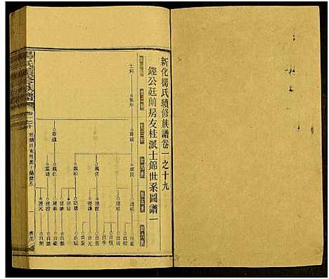 [下载][新化杨氏族谱_世系5卷首10卷_新化杨氏续修族谱_杨氏续修族谱_新化杨氏族谱]湖南.新化杨氏家谱_四十六.pdf