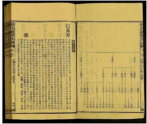 [下载][新化杨氏族谱_世系5卷首10卷_新化杨氏续修族谱_杨氏续修族谱_新化杨氏族谱]湖南.新化杨氏家谱_四十六.pdf