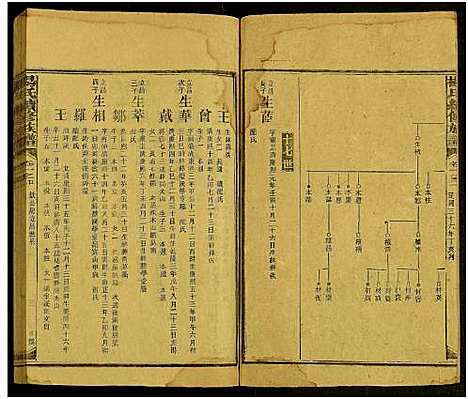 [下载][新化杨氏族谱_世系5卷首10卷_新化杨氏续修族谱_杨氏续修族谱_新化杨氏族谱]湖南.新化杨氏家谱_四十七.pdf