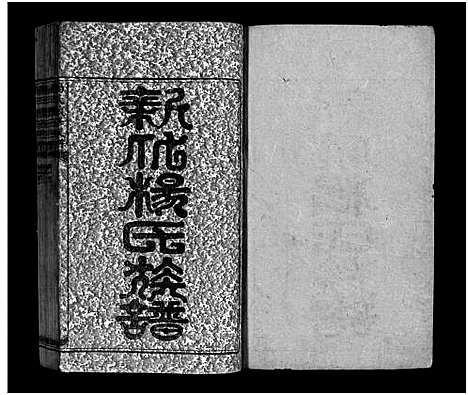 [下载][新化杨氏族谱_卷首10卷_世系13卷_杨氏续修族谱_新化杨氏族谱]湖南.新化杨氏家谱_一.pdf