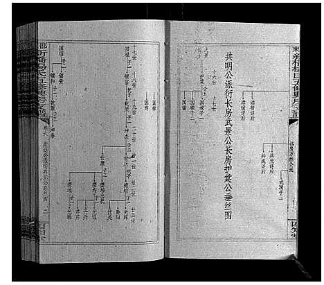 [下载][新桥杨氏五修兴房支谱_16卷首末各1卷]湖南.新桥杨氏五修兴房支谱_八.pdf