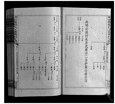 [下载][新桥杨氏五修兴房支谱_16卷首末各1卷]湖南.新桥杨氏五修兴房支谱_八.pdf