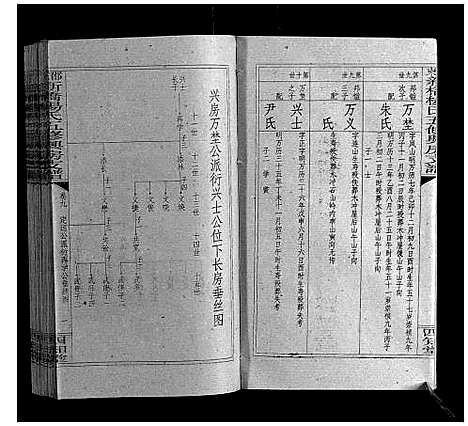 [下载][新桥杨氏五修兴房支谱_16卷首末各1卷]湖南.新桥杨氏五修兴房支谱_十一.pdf