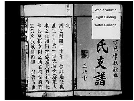 [下载][杨氏三修支谱_5卷首2卷_杨氏支谱]湖南.杨氏三修支谱.pdf