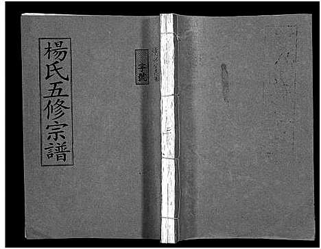 [下载][杨氏五修宗谱_13卷_含首2卷_杨氏五修宗谱]湖南.杨氏五修家谱_三.pdf