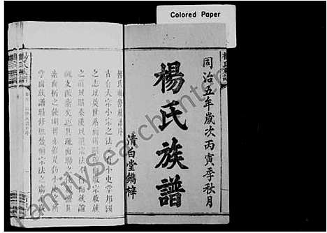 [下载][杨氏族谱_10卷_及卷首]湖南.杨氏家谱.pdf