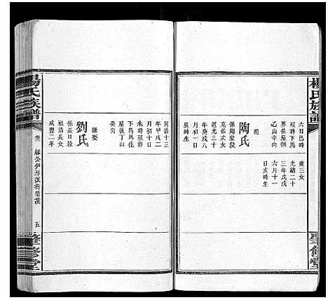 [下载][杨氏族谱_8卷]湖南.杨氏家谱_五.pdf