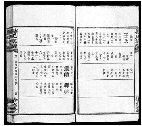 [下载][杨氏族谱_8卷]湖南.杨氏家谱_七.pdf