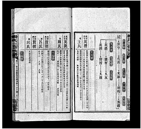 [下载][江村杨氏三修族谱_6卷首1卷_末2卷_杨氏三修族谱 杨氏三修族谱]湖南.江村杨氏三修家谱_九.pdf