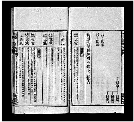 [下载][江村杨氏三修族谱_6卷首1卷_末2卷_杨氏三修族谱 杨氏三修族谱]湖南.江村杨氏三修家谱_十一.pdf