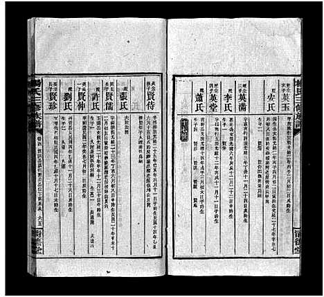 [下载][江村杨氏三修族谱_6卷首1卷_末2卷_杨氏三修族谱 杨氏三修族谱]湖南.江村杨氏三修家谱_十三.pdf