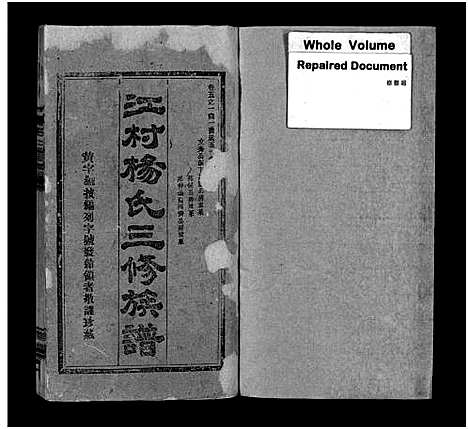 [下载][江村杨氏三修族谱_6卷首1卷_末2卷_杨氏三修族谱 杨氏三修族谱]湖南.江村杨氏三修家谱_十四.pdf