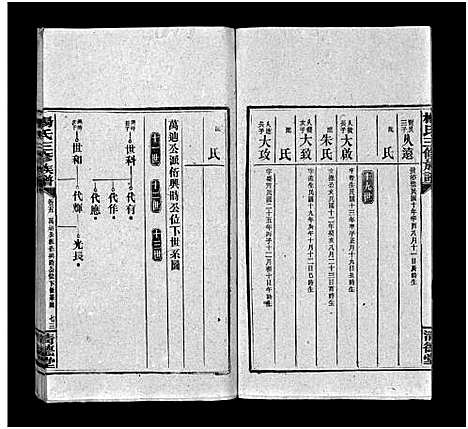 [下载][江村杨氏三修族谱_6卷首1卷_末2卷_杨氏三修族谱 杨氏三修族谱]湖南.江村杨氏三修家谱_十五.pdf