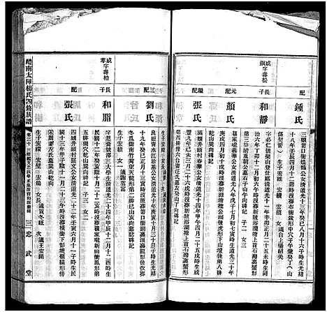 [下载][醴南太障杨氏四修族谱_50卷_太障杨氏族谱_醴南太障杨氏四修族谱]湖南.醴南太障杨氏四修家谱_二十九.pdf