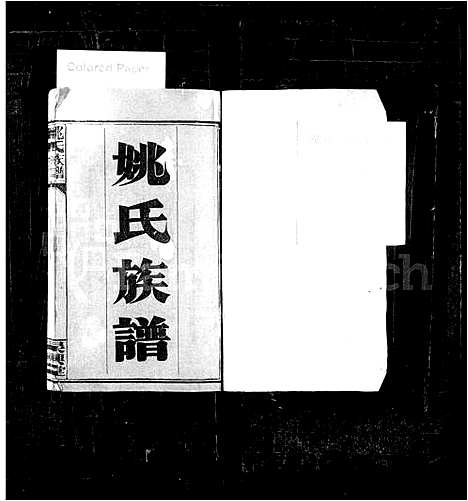 [下载][姚氏族谱_10卷]湖南.姚氏家谱.pdf