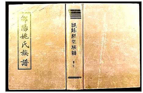 [下载][邵阳姚氏族谱]湖南.邵阳姚氏家谱_八.pdf