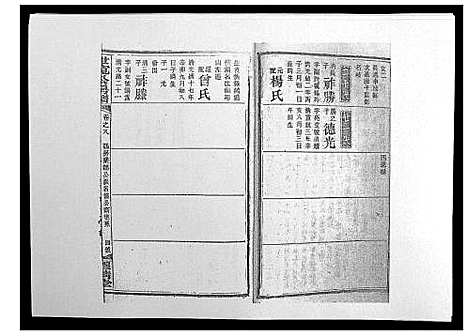 [下载][洞霞尹氏宽公房谱_14卷首1卷末2卷]湖南.洞霞尹氏宽公房谱_十.pdf