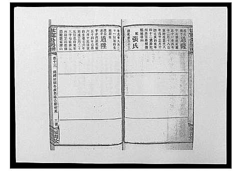 [下载][洞霞尹氏宽公房谱_14卷首1卷末2卷]湖南.洞霞尹氏宽公房谱_十五.pdf