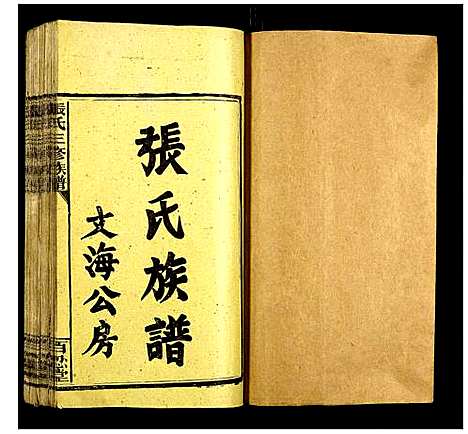 [下载][张氏三修族谱]湖南.张氏三修家谱_一.pdf