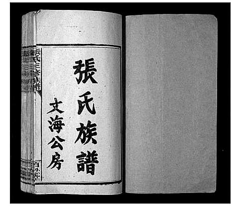 [下载][张氏三修族谱_3卷]湖南.张氏三修家谱_一.pdf