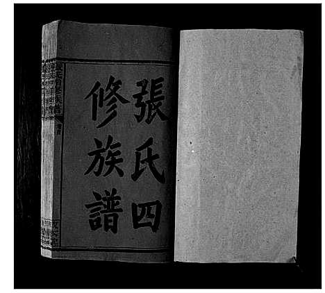 [下载][张氏四修族谱_3卷首1卷]湖南.张氏四修家谱_一.pdf