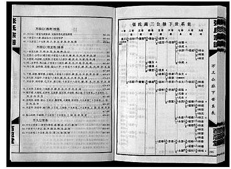 [下载][张氏宗谱]湖南.张氏家谱_三.pdf