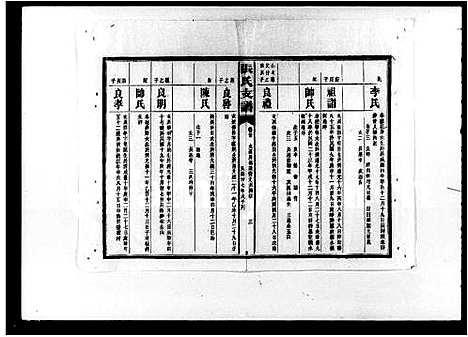 [下载][张氏庆云公房支谱_36卷_含首1卷_张氏庆云公裔支谱_张氏支谱]湖南.张氏庆云公房支谱_九.pdf