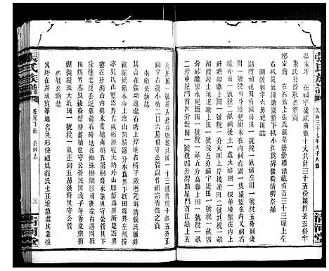 [下载][张氏族谱]湖南.张氏家谱_二十.pdf