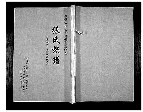 [下载][张氏族谱_启祥公后裔高村家词高村支]湖南.张氏家谱.pdf