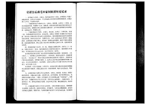 [下载][张氏族谱_启祥公后裔高村家词高村支]湖南.张氏家谱.pdf